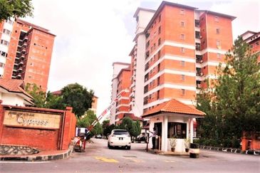 Evergreen Park Cypress