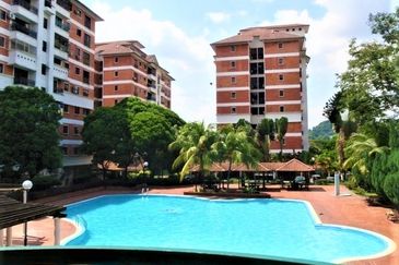 Evergreen Park Cypress