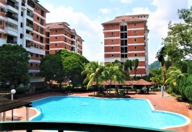 Evergreen Park Cypress