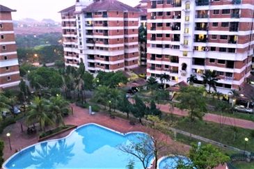 Evergreen Park Cypress