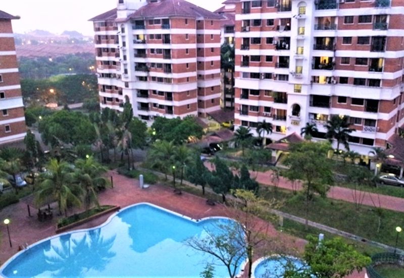 Evergreen Park Cypress