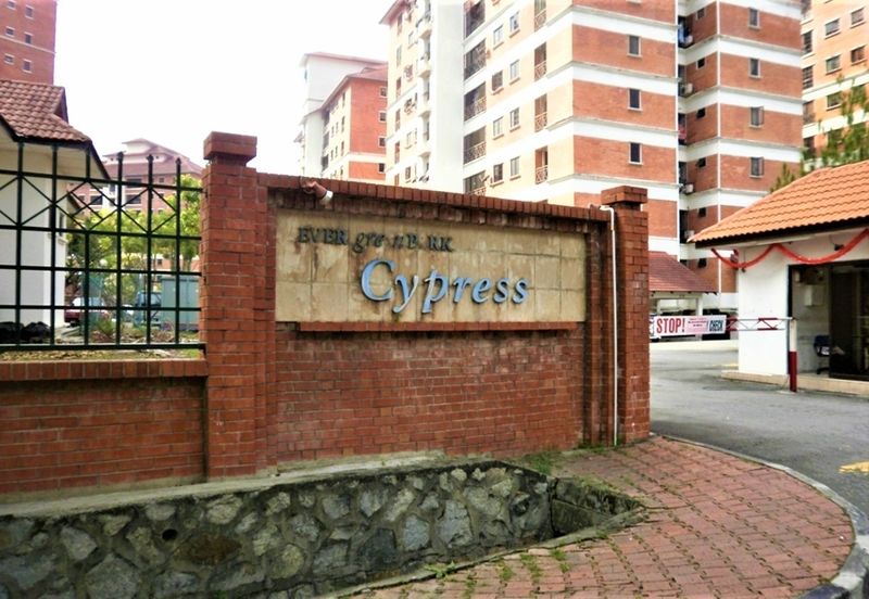 Evergreen Park Cypress