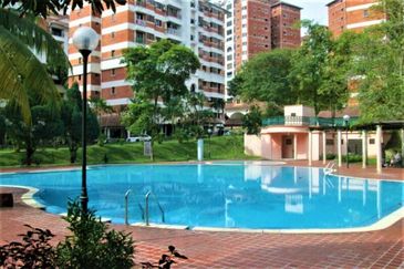 Evergreen Park Cypress