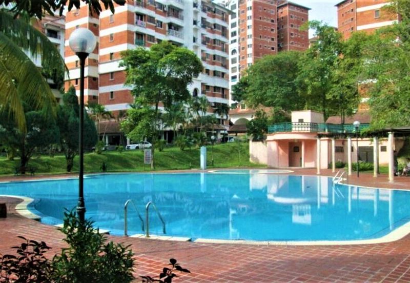 Evergreen Park Cypress