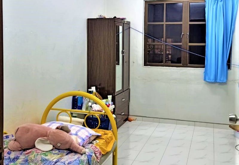 Evergreen Park Cypress