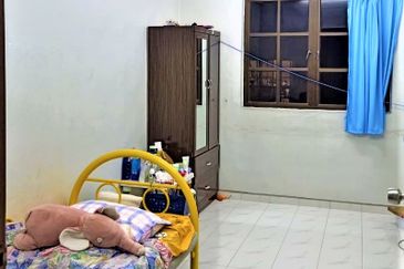 Evergreen Park Cypress