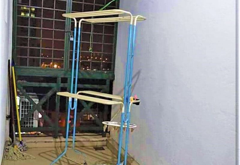 Evergreen Park Cypress