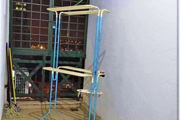 Evergreen Park Cypress