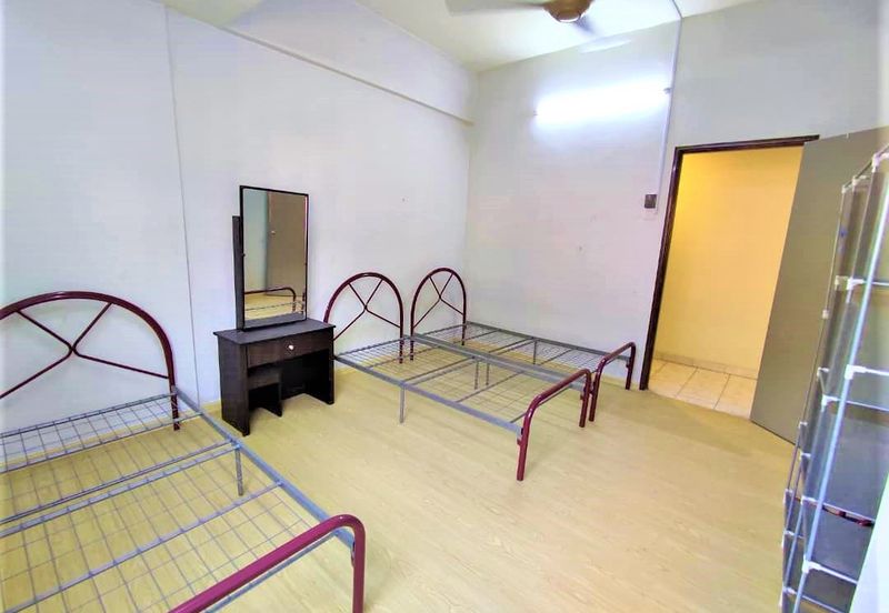 Evergreen Park Cypress