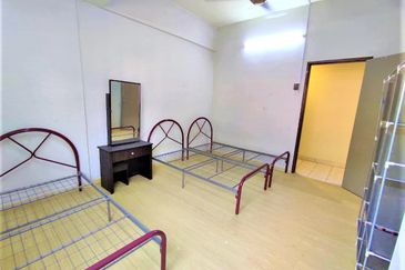 Evergreen Park Cypress