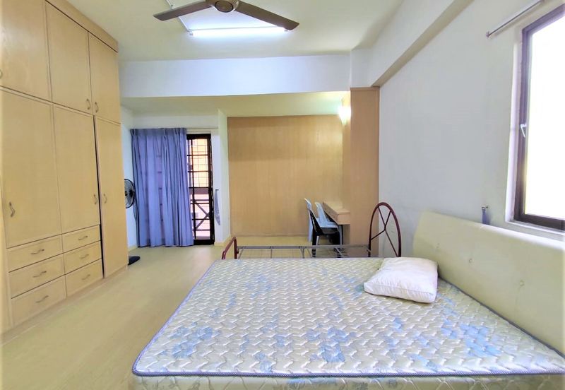 Evergreen Park Cypress