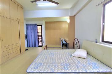 Evergreen Park Cypress