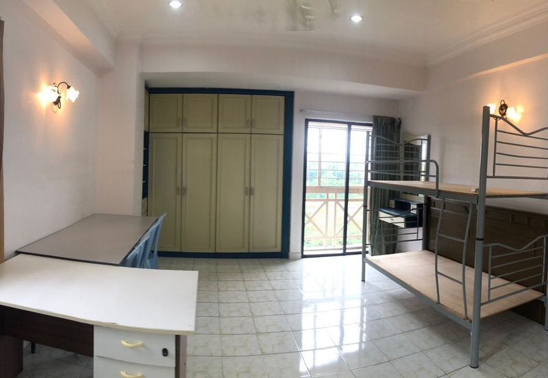 Evergreen Park Cypress