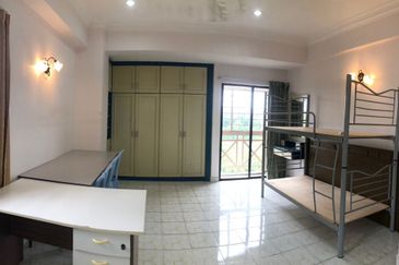 Evergreen Park Cypress