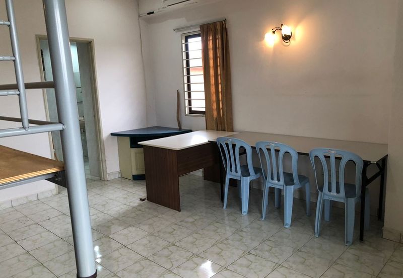 Evergreen Park Cypress