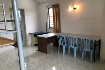 Evergreen Park Cypress