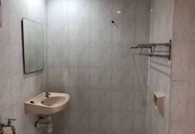 Evergreen Park Cypress