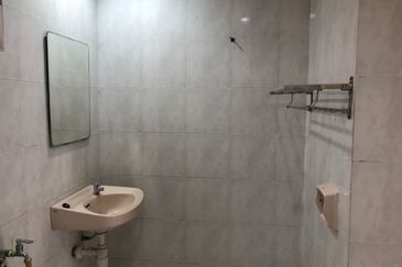 Evergreen Park Cypress