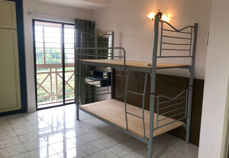 Evergreen Park Cypress