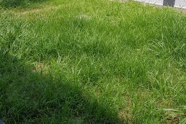 Single Storey Semi-D