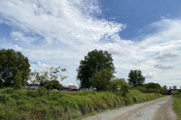 JALAN BUKIT KEMUNING