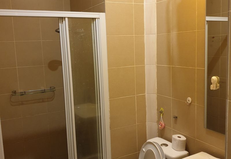 Taragon Puteri Bintang