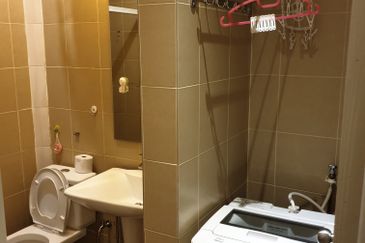 Taragon Puteri Bintang