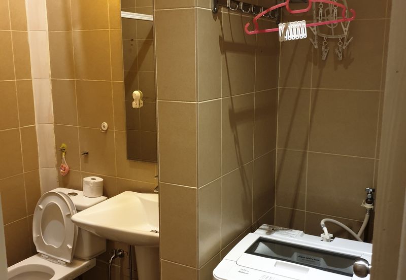 Taragon Puteri Bintang