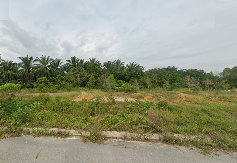 1 acre Agriculture land facing main road for rent, beside petron station Bandar Ainsdale