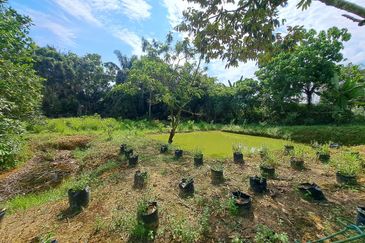 taman arawana, 1 acre agriculture land come with ready infrastructure water, iwk, electricity