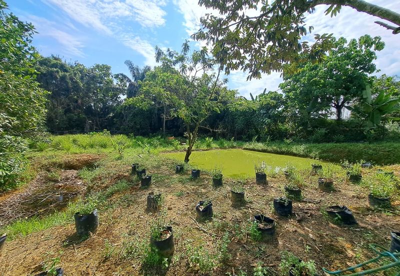 taman arawana, 1 acre agriculture land come with ready infrastructure water, iwk, electricity