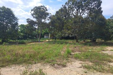 taman arawana, 1 acre agriculture land come with ready infrastructure water, iwk, electricity