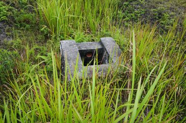 Arroyo Garden @ Setia Eco Hill