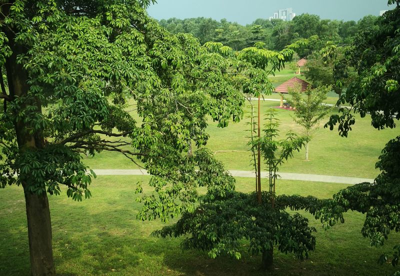 Avenue 6, Bandar Tun Hussein Onn