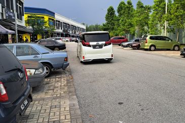 Brighton @ Eco Majestic