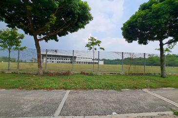 Brighton @ Eco Majestic