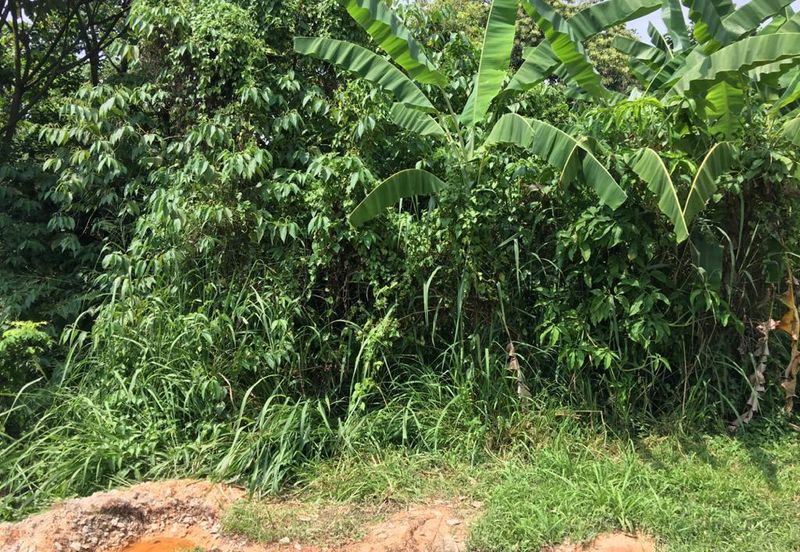 Bukit Gasing, Seksyen 5