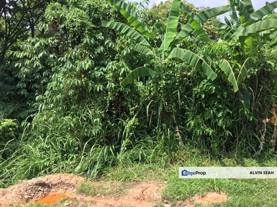 Bukit Gasing, Petaling Jaya, Selangor, Petaling Jaya