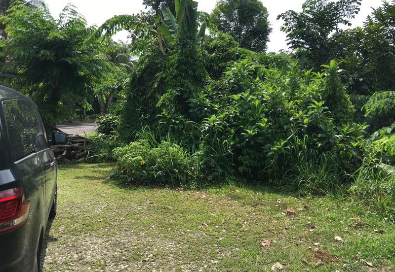 Bukit Gasing, Seksyen 5