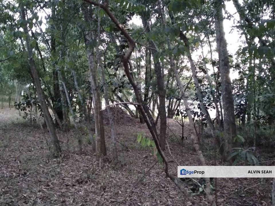 Putra Crest, Subang Jaya, Selangor, Subang Jaya