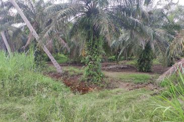 Sabak Bernam, Selangor