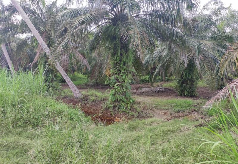 Sabak Bernam, Selangor