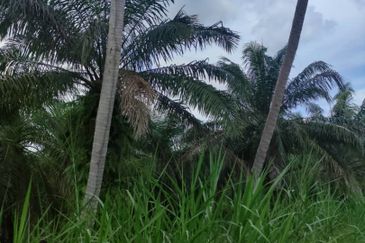 Sabak Bernam, Selangor