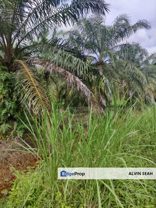 Sabak Bernam, Selangor, Selangor, Sabak Bernam