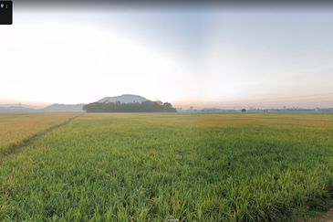 Kampung Hutan Nibung, Permatang Pauh, Penang