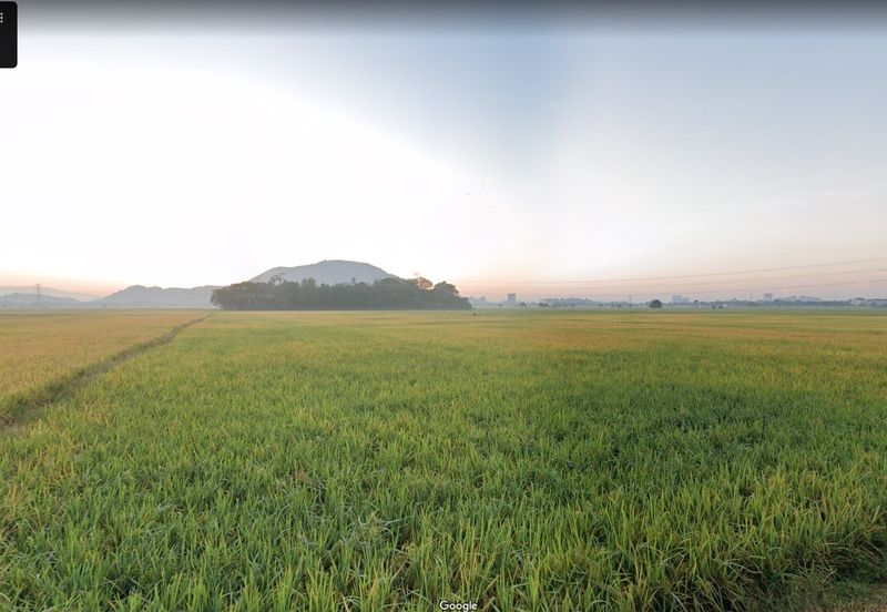 Kampung Hutan Nibung, Permatang Pauh, Penang