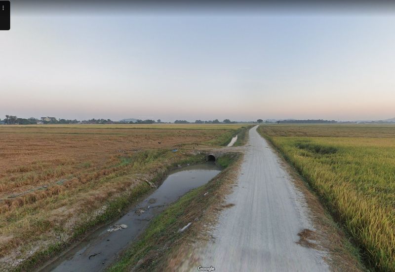 Kampung Hutan Nibung, Permatang Pauh, Penang