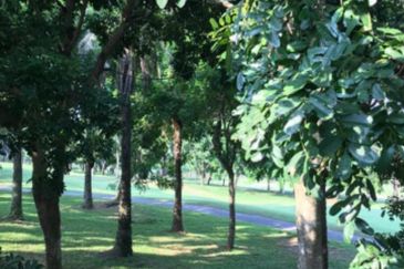 HillSide Manors, Kota Kemuning, Shah Alam