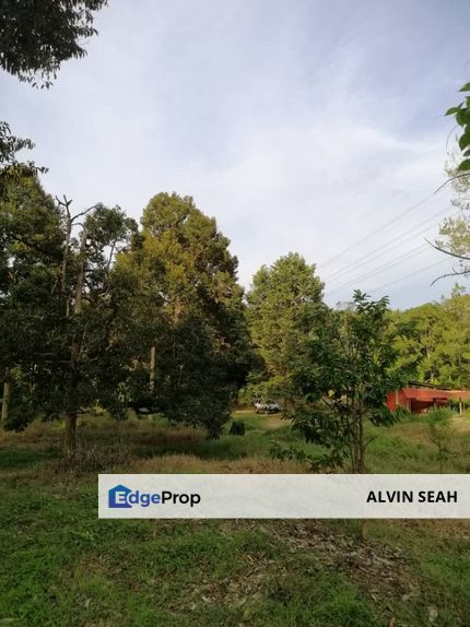 Durian Farm, Kuala Lipis, Pahang, Pahang, Kuala Lipis