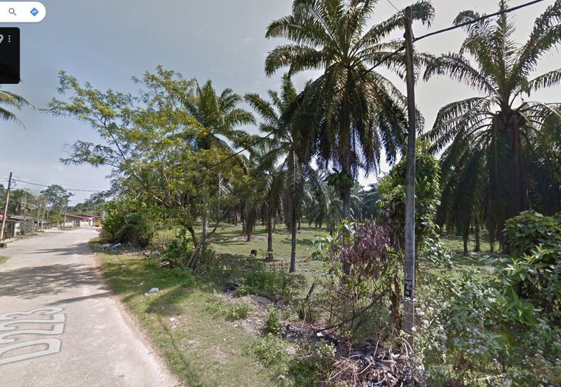 Kuala Krai, Kelantan (Residential & Commercial Land)